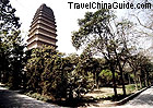 It got the name for its shape similar to Big Wild Goose Pagoda.