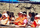 Shennong Stream