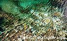 Colorful water dimpled by breeze, Jiuzhaigou Valley 0005321