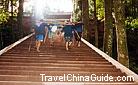 The porters work assiduously on the mountain all year round. 0005366