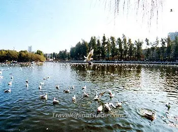 Cuihu Park in Winter