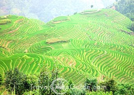 Longsheng rice terraces
