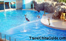 Hong Kong Ocean Park
