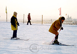 Skiing in the snow world