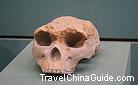The Skull of People in Prehistoric Stage, Shaanxi Provincial History Museum