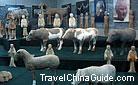 Vivid pottery animals and figurines displayed in the Hanyangling Mausoleum. 0061190