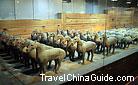 Long queues of pottery figures of animals displayed in the Exhibition Hall of Mausoleum of Western Han Emperor Liu Qi. 0061550