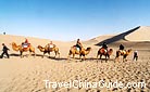 In the unending desert, camels are man's best guides.