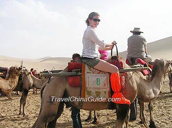 Tourist Riding on A Camel