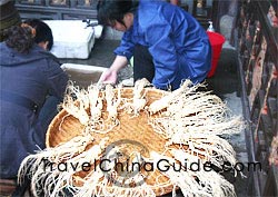 Herbal Medicine - Ginseng