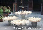 Chinese Medicine