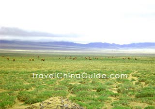 Haidong, Qinghai