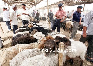 Cattle market in the bazaar