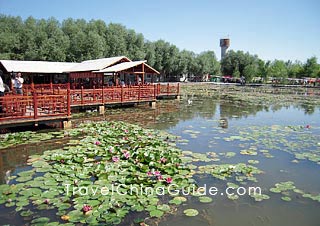Du Family Village Resort