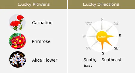 Lucky Flowers and Directions of Sheep