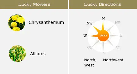 Lucky Flowers and Directions of Monkey