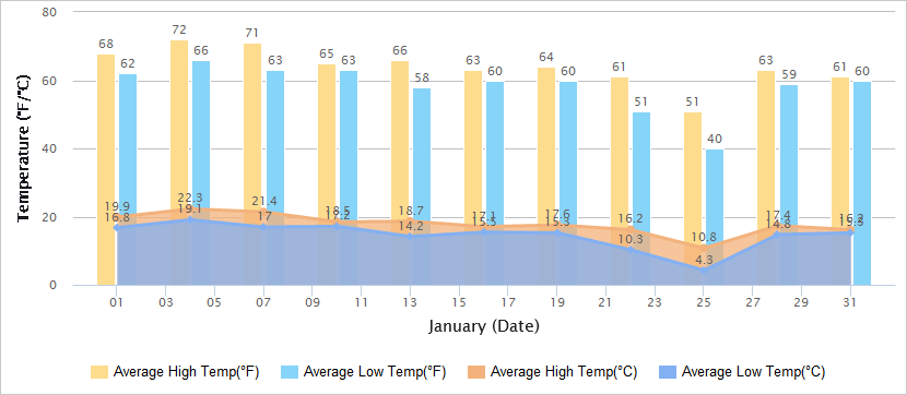 Temperatures Graph of Hong Kong in January