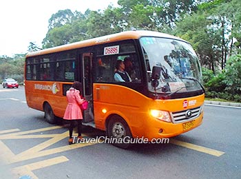 Shenzhen City Bus