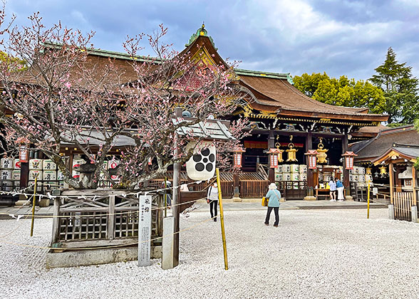 Kyoto Kitano Tenmangu Shrine