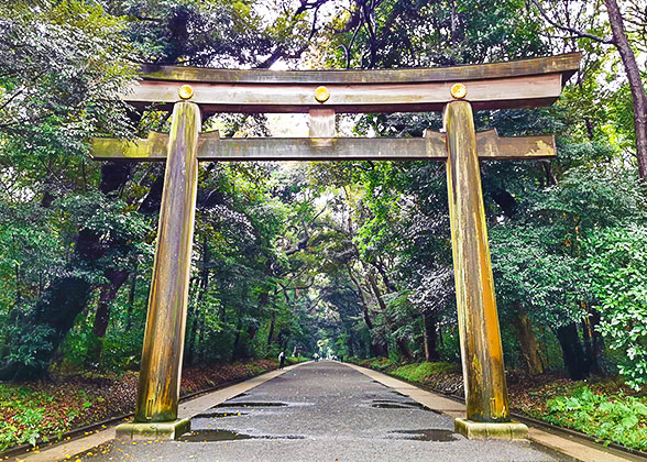 Torii Gate of Meiji Jingu Shrine