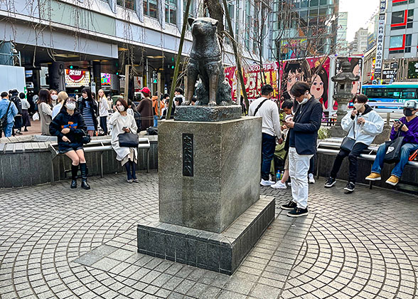 Hachiko Statue, Shinjuku, Tokyo
