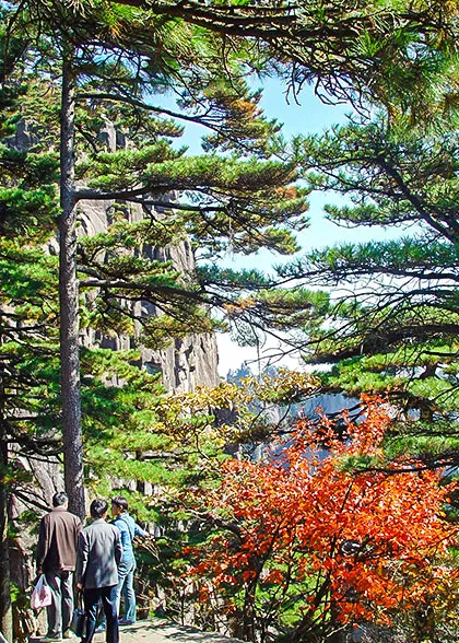 Autumn Foliage on Mt. Huangshan