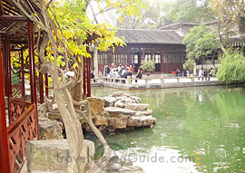 Lingering Garden