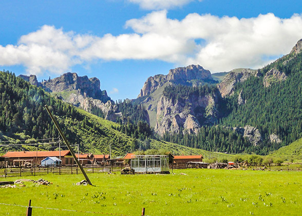 Gannan scenery