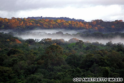 Guyana 