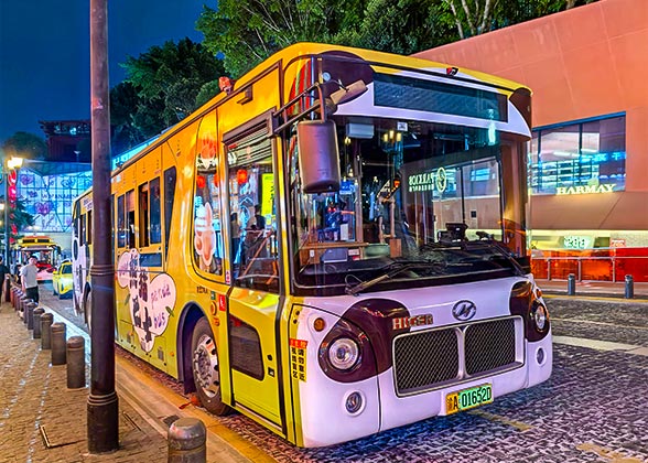 Panda-themed Sightseeing Bus Panda-themed Sightseeing Bus