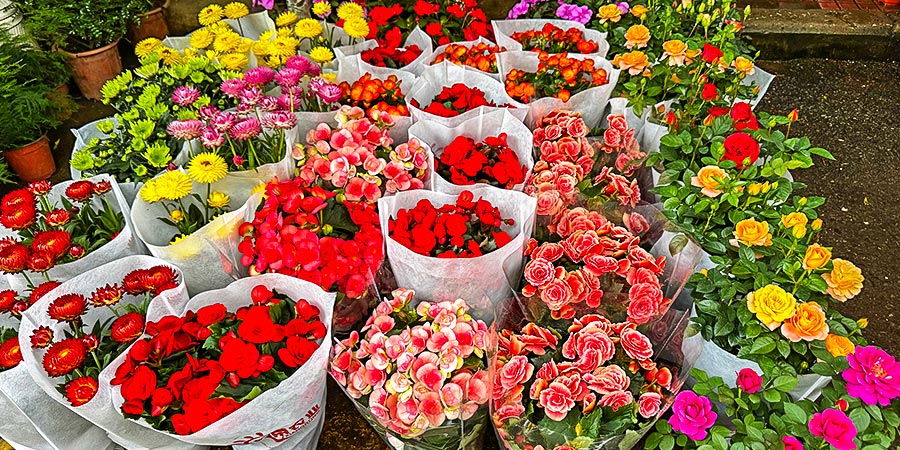 Flower Market during Chinese New Year Flower Market during Chinese New Year