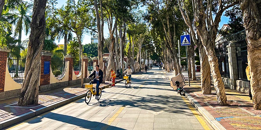 Visit Shenzhen in November with Favorable Weather