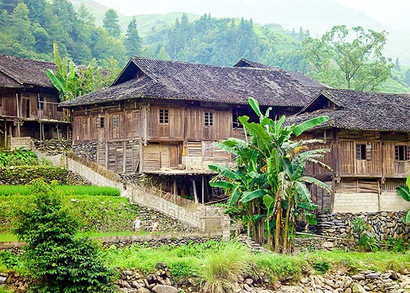 Homestays on the hillsides of Longji Rice Terraces