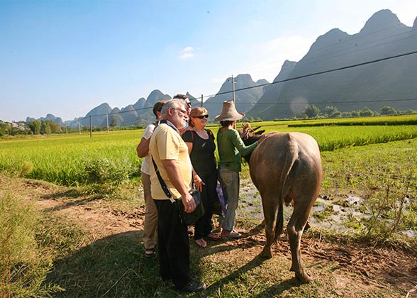 Idyllic Scenery in Yangshuo Idyllic Scenery in Yangshuo