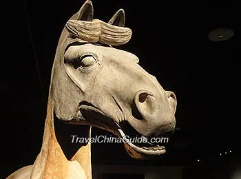 Terracotta Horse