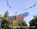 Chinese Kite