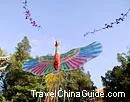 Chinese Kite