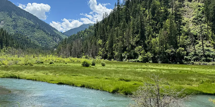 Reed Lake