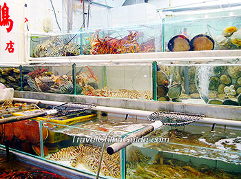 Seafood in Sai Kung
