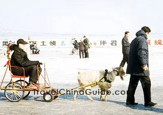 Bank of Songhua River in Winter