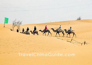 Camel riding in desert, Yinchuan 