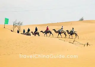 Camel riding in desert, Yinchuan 