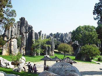Stone Forest in Spring