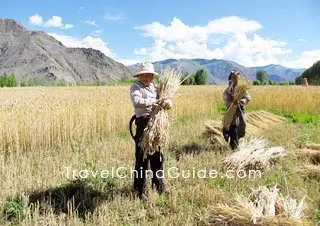 Tibet Climate