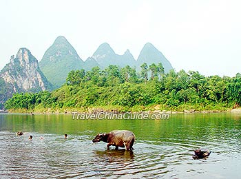 Li River Scenery in Yangshuo