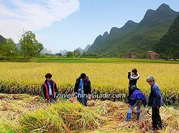 Autumn in Yangshuo