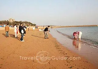 Beautiful seashore