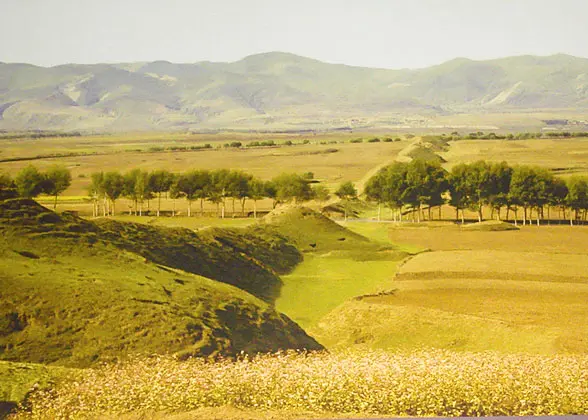 Qin State Great Wall Relics in Ningxia