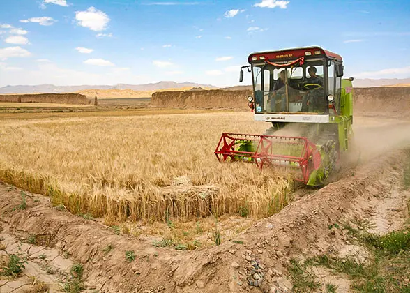 Farmland beside Shandan Great Wall