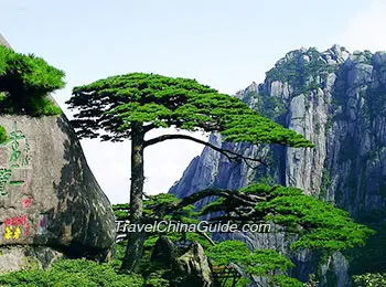 Huangshan Mountain 